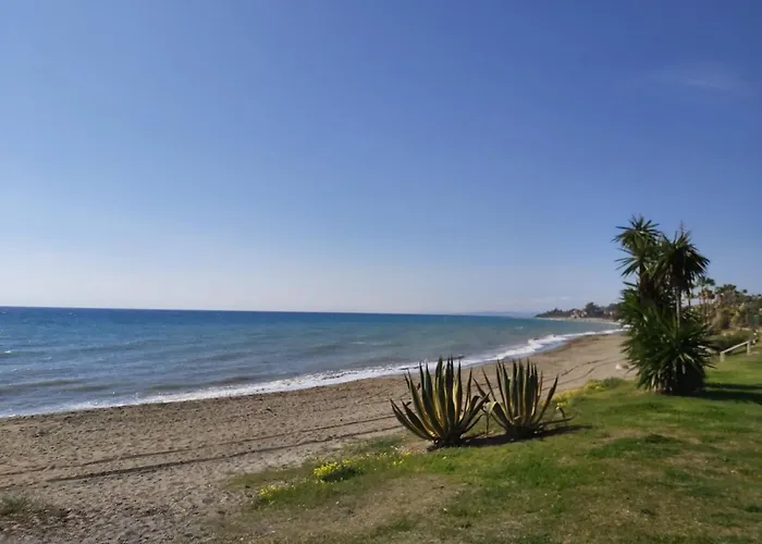 Beachfront 4-bed Pet-friendly Poolside Flat Apartment